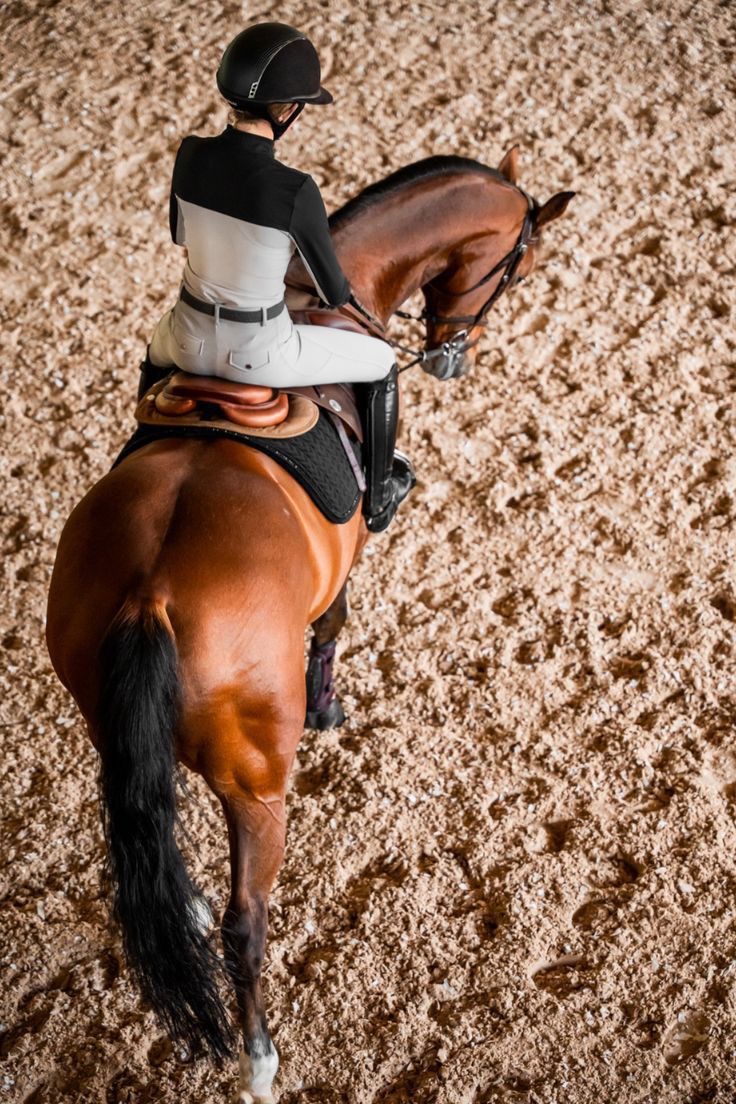 Overhead view of a rider on a bay horse crossing a sand arena