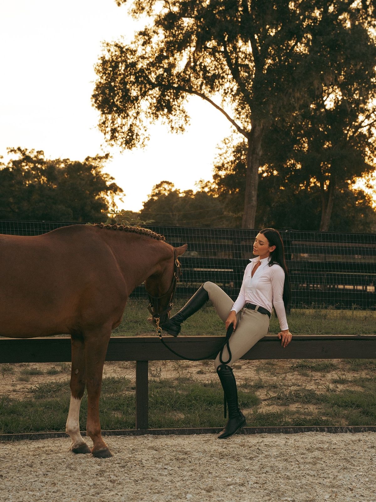 Rider in a white shirt and beige breeches sitting on a paddock fence beside a chestnut horse at sunset